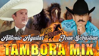 Bandido de Amores 🔥 Joan Sebastian y Antonio Aguilar con Tambora 🔥 [upl. by Hersch]