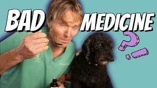 Stop Using This OTC Medicine for Dog Coughing A new Safe and Effective Natural Option [upl. by Maryanne157]