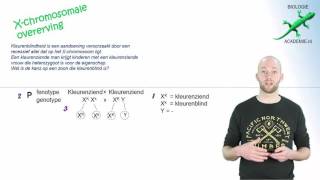 genetica  Xchromosomale kruising [upl. by Persse]