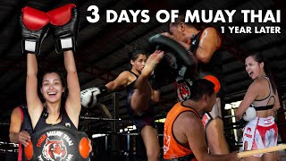 My 3 Day Muay Training in Thailand 1 Year Later [upl. by Nahtanohj]