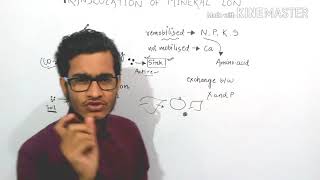 Translocation of mineral ionsjourney from root xylem to the sink and their remobilisation [upl. by Nnaed]