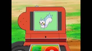 Pachirisu Pokédex Entrywmv [upl. by Haelam355]