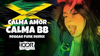 CALMA AMOR CALMA BB vs CALMA VAI DEVAGAR 2 Reggae Funk Remix 2023 igorproducer [upl. by Isidoro]