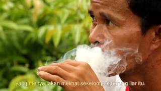 quotSave The Symbol of Niasquot By ISCP Documentary Film [upl. by Ericka423]