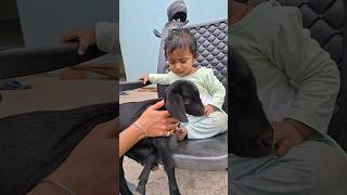 bitki 👶 ko dar lg rha hcutebaby video [upl. by Nosirrah]