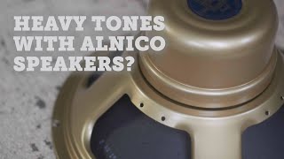 Celestion Alnico Blue Ruby Gold and Cream  HEAVY TONES [upl. by Alag]