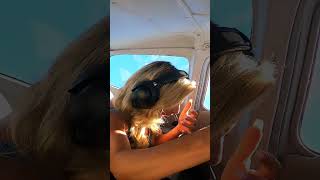 Airplane Prank GONE WRONG TOPNOTCHIDIOTS [upl. by Chrisoula522]