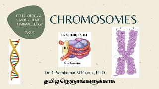 Chromosomes CBMPPart3Tamil [upl. by Almeria400]