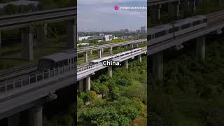 World’s FASTEST Train Shanghai Maglev Blasts Through at 431 kmh fishtale facts catwhisperer [upl. by Laszlo]