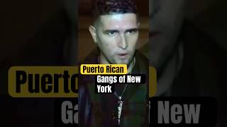 Puerto Rican Gangs of New York [upl. by Christabella]