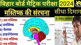 मानव मस्तिष्क ll Human Brain 🧠 ll Aksha Study Centre ll मानव मस्तिष्क के भाग l नियंत्रण एवं समान्वय [upl. by Southworth148]