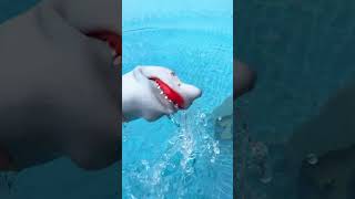 Shark Puppet Takes On The FREEZING POOL CHALLENGE subscribe shorts sharkpuppet [upl. by Gilford402]