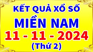 Kết quả xổ số Miền Nam hôm nay ngày 11112024 xs TPHCM xs Đồng Tháp xs Cà Mau [upl. by Llennoc]