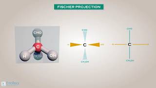 Fischer Projection [upl. by Al521]