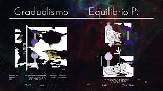 El Gradualismo de Darwin vs el Equilibrio Puntuado de Eldredge and Gould [upl. by Nujra]