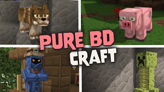 Pure Bd Craft Texture Pack for Minecraft 119  Java amp Bedrock [upl. by Ybbed]