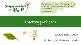 Photosynthesis with exam questions GCSE Biology [upl. by Aniroc]