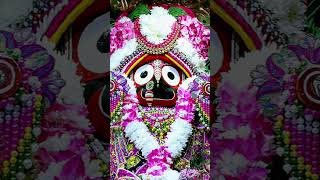 Jay Jagannath🙏🚩🚩🙏🙏🪷🙏sad video YouTube jagannathan ka bhajan [upl. by Eimmij18]