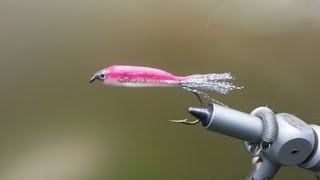 Fly Tying Epoxy Minnow [upl. by Jessica]