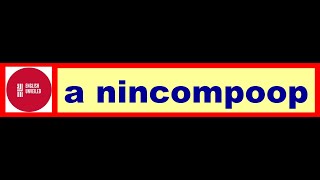 a nincompoop  snippetofenglish​​​​​​​​ GUESS THE MEANING [upl. by Mccowyn]