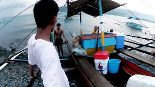 Wow Grabe Ang Jackpot sa mga Mamahaling Isadang Huli fishing fish viralvideo [upl. by Asirrak]