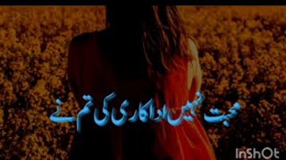 urdu heart touching famous poetrySad Urdu poetryRomantic Urdu heart breaking poetrylovely [upl. by Chiles]