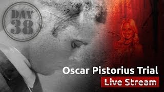 Oscar Pistorius Trial Day 38 [upl. by Borreri]