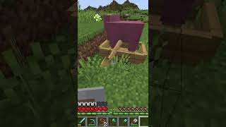 Procuring a Pink Sheep 🐑 minecraft minecraftgameplay gaming pinksheep [upl. by Bolme]