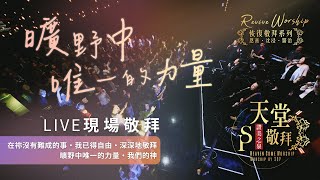 恢復敬拜系列【在祢沒有難成的事  我已得自由  深深地敬拜  曠野中唯一的力量  我們的神】｜讚美之泉《天堂敬拜 LIVE》 [upl. by Parcel223]