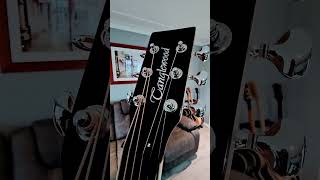 MY TANGLEWOOD SUNDANCE PREMIER ELECTRO ACOUSTIC GUITAR [upl. by Nims]