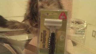 New FURminator deShedding Tool with Double Edge [upl. by Astto982]