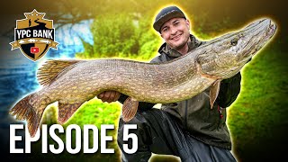 Angler sieht FLUSSMONSTER und fängt es 😱  YPC BANK 2024 Episode 5 [upl. by Corbie444]