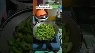 Amapalaya with egg and fried talong naman tayp mga lodi Dont forget to subscribeand the bell [upl. by Jarl]