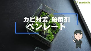 苔テラリウムのカビ対策殺菌剤ベンレート [upl. by Byram]