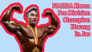 NABBA Korea Pro Division Champion Hwang In Jae [upl. by Nnayllek]