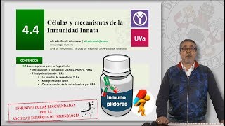 44 CÉLULAS Y MECANISMOS DE LA INMUNIDAD INNATA [upl. by Anawek]