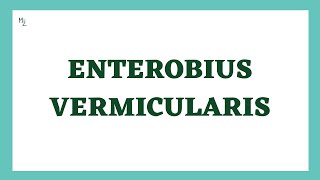 Enterobius Vermicularis  Pin Worms  Enterobiasis  Nematodes  Parasitology [upl. by Harden]