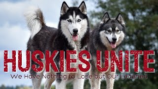 Siberian Huskies Unionize Management Fears for Its Survival [upl. by Cora589]