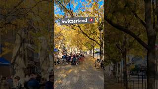 The Golden Autumn of Sion Switzerland [upl. by Elleved]