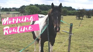 Morning Routine of an equestrian  Horse track system 🧡 [upl. by Hanleigh]