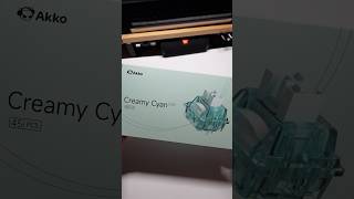 Do you like Clicky Switches  Akko Creamy Cyan typing asmr akkoswitches akko [upl. by Ahsemrak233]