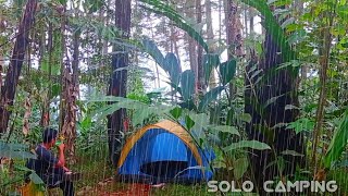 solo camping heavy rain and storms sleeping in a very comfortable and relaxing tent [upl. by Tracy847]