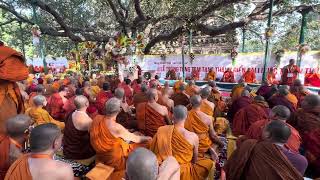 The monks are chanting tipitaka pali language at Boddh tree main temple Buddhgaya [upl. by Lien]