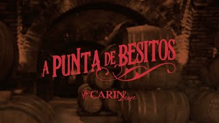 Carin Leon  A Punta De Besitos Video Lyric [upl. by Uttasta]