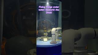 Fixing things under water Seaworld Abu Dhabi [upl. by Rednazxela]