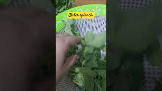 Water spinach food healthy food Homemade Nutritious food seemalzmofficial [upl. by Nickelsen108]