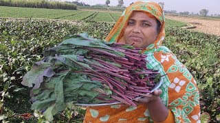 Farm Fresh Sweet Beets Leaves Recipe Red Sabzi Beetroot Leaf Harvesting amp Shrimp Curry Village Food [upl. by Ssyla]