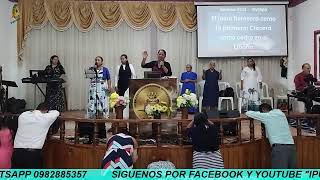 CULTO DE DAMAS [upl. by Ellga]