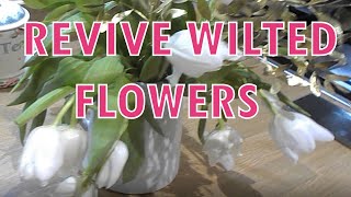 How to Revive Wilted Cut Flowers [upl. by Colman471]