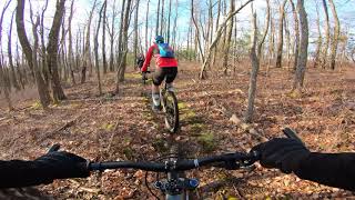 Mountain Bike  Shingletown Gap  Bald Knob Ridge Trails Rothrock State Forest  February 3 2020 [upl. by Ttelrahc883]